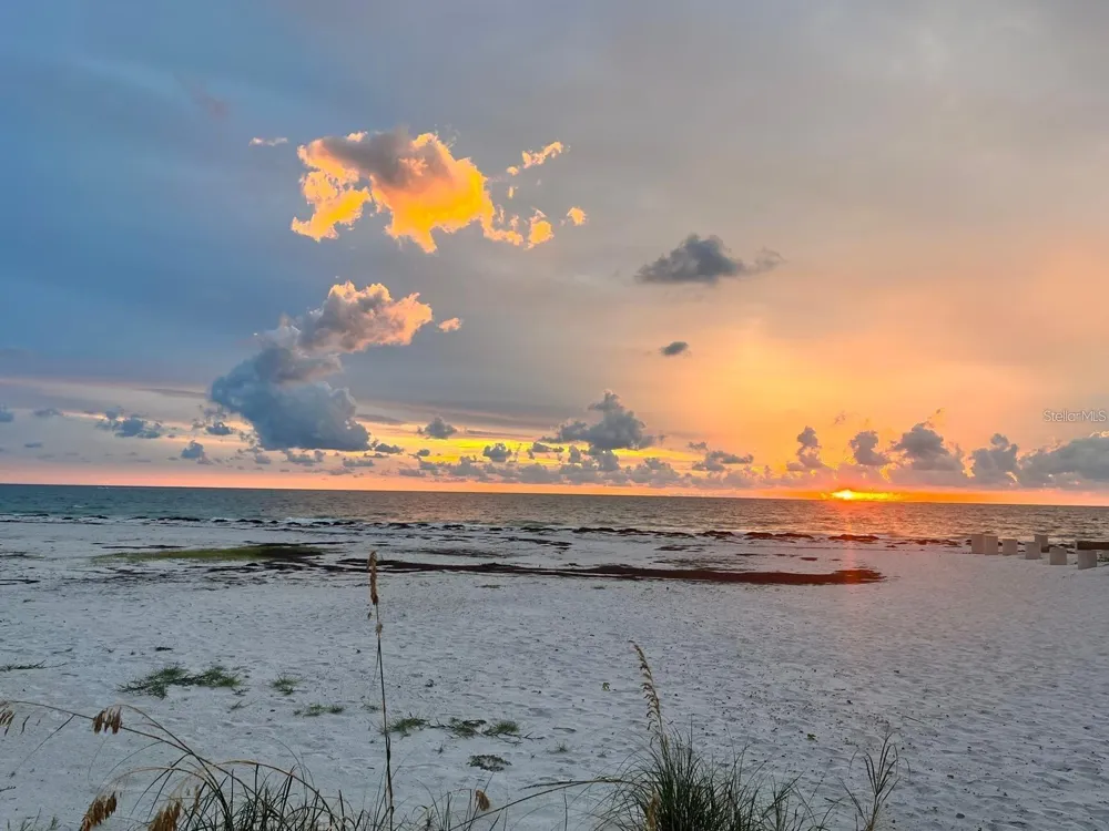 880 MANDALAY AVENUE #N111 Clearwater Beach, FL 33767