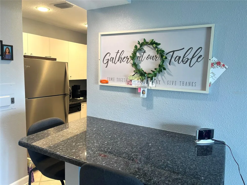 880 MANDALAY AVENUE #N111 Clearwater Beach, FL 33767