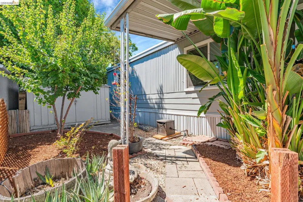 4603 Balfour Rd Brentwood, CA 94513