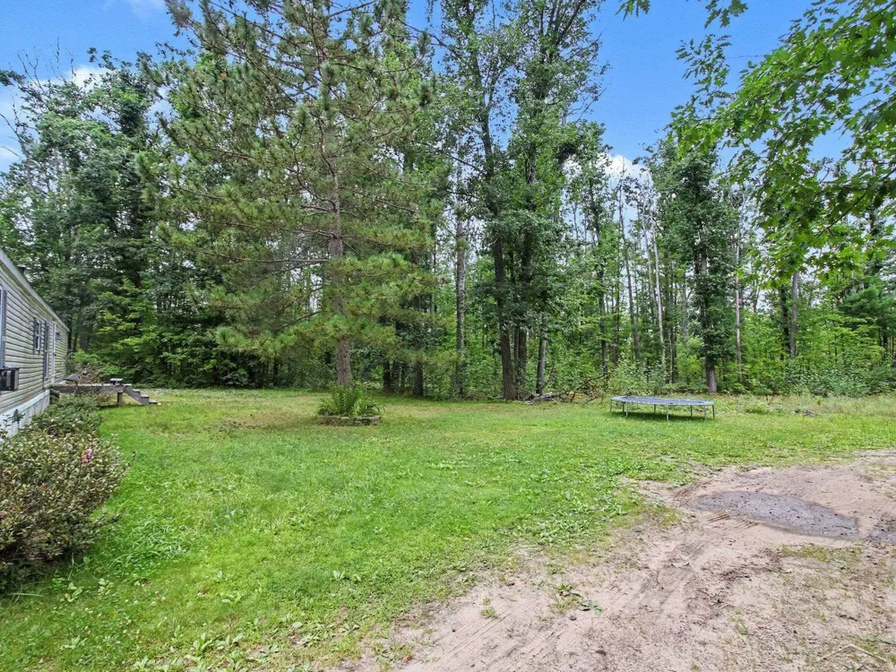 1491 Allard Acres Trail Albert Township, MI 49751