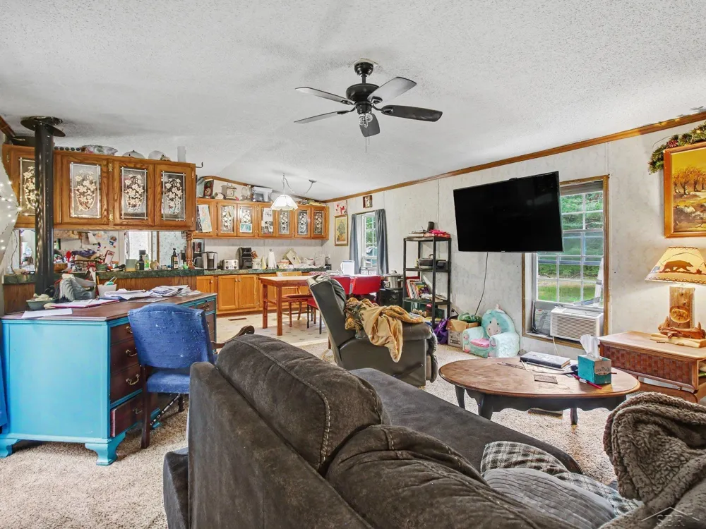 1491 Allard Acres Trail Albert Township, MI 49751