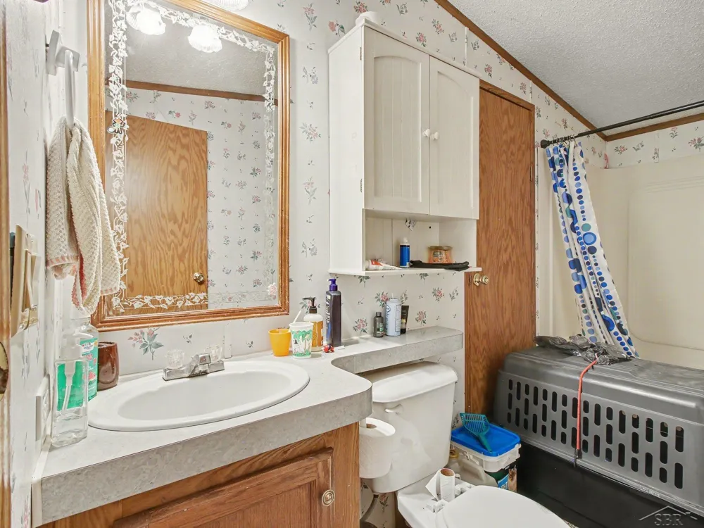 1491 Allard Acres Trail Albert Township, MI 49751
