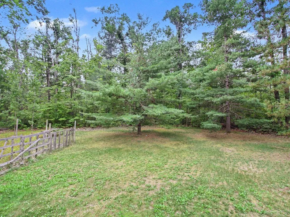 1491 Allard Acres Trail Albert Township, MI 49751