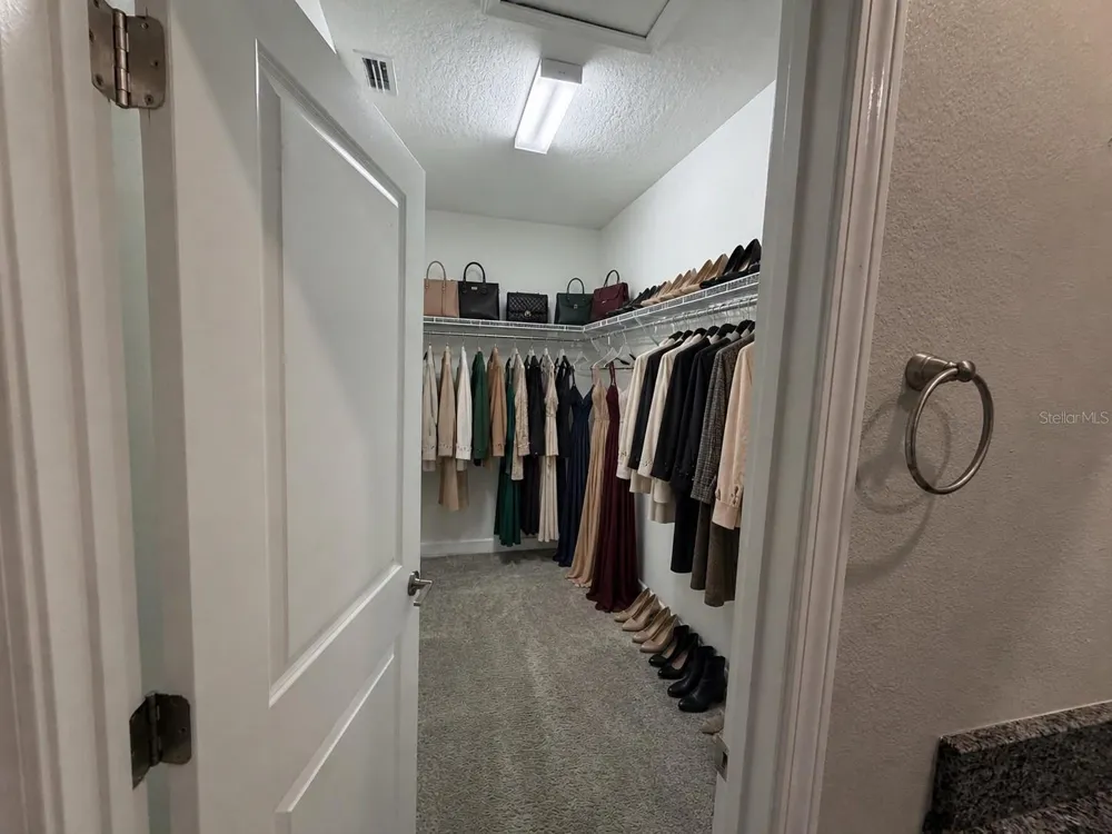 6824 CITRUS CREEK LANE Tampa, FL 33625
