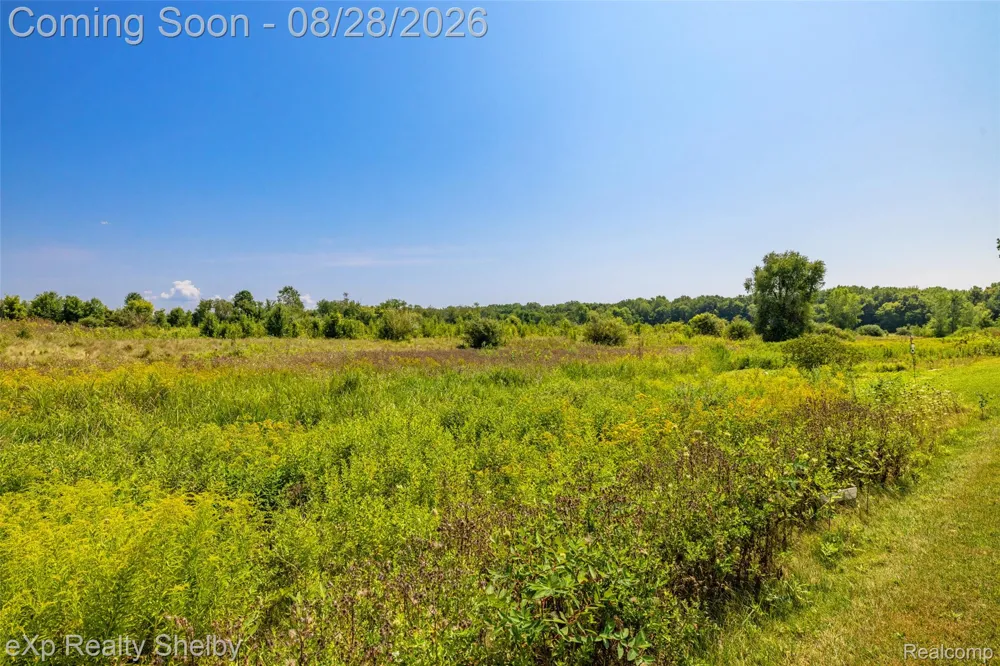 56626 Leeds Lane Macomb Township, MI 48042