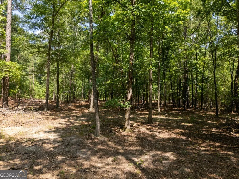 0 Winding Ridge DR Tignall, GA 30668