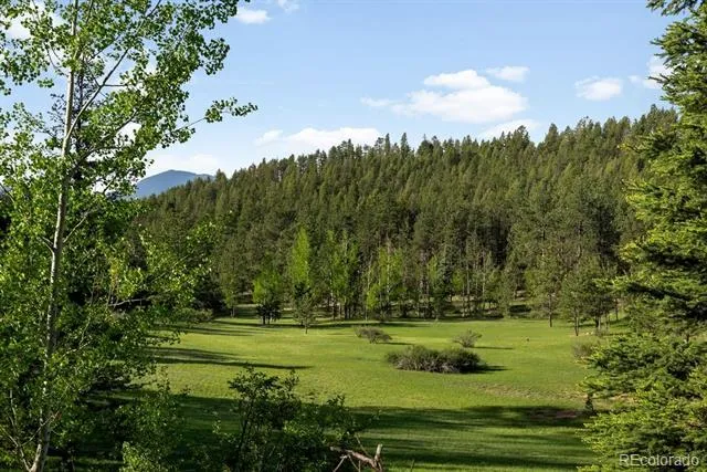 29700 S Sunset Trail Conifer, CO 80433