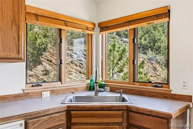 1649 Elk Valley Drive Evergreen, CO 80439