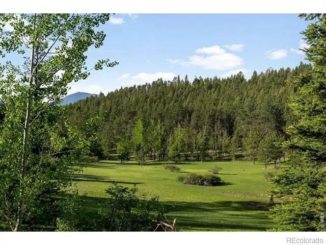 29700 S Sunset Trail Conifer, CO 80433