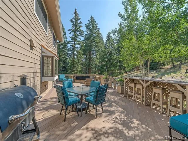 8280 Grizzly Way Evergreen, CO 80439