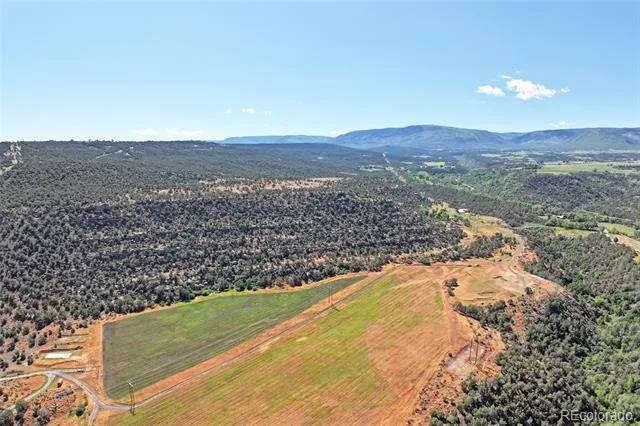 5402 KE2 ROAD Collbran, CO 81624