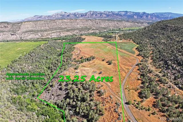 5402 KE2 ROAD Collbran, CO 81624