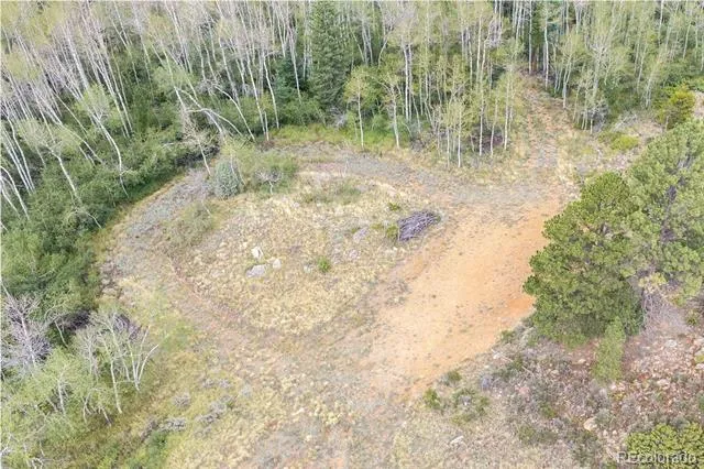 25 Huron Road Red Feather Lakes, CO 80545