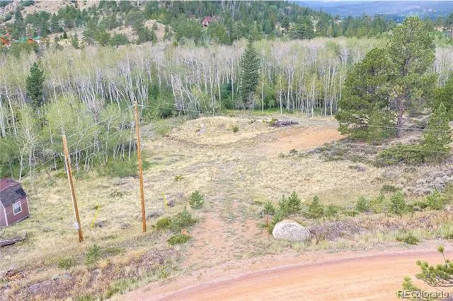25 Huron Road Red Feather Lakes, CO 80545