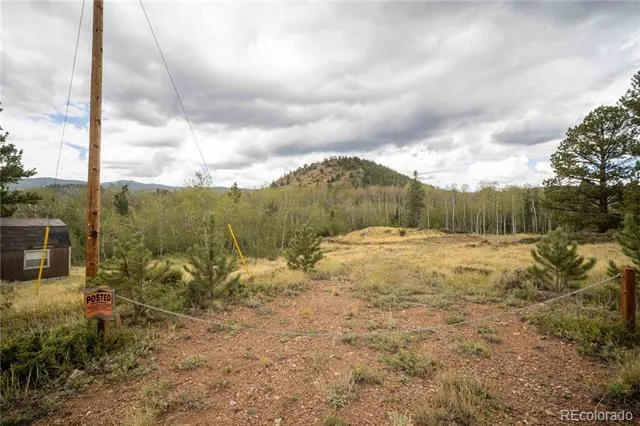 25 Huron Road Red Feather Lakes, CO 80545