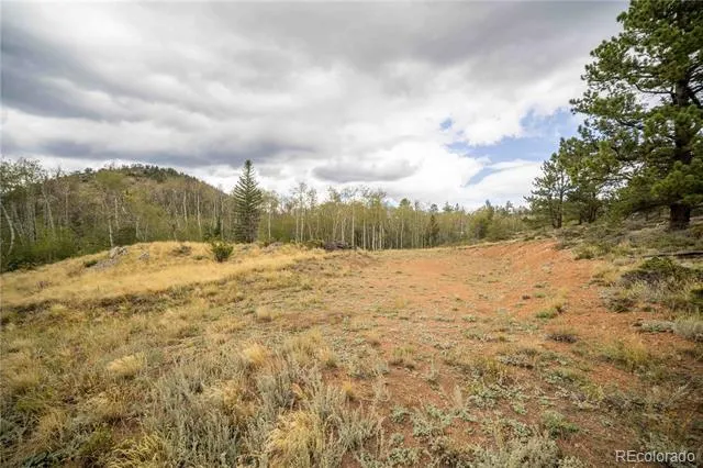 25 Huron Road Red Feather Lakes, CO 80545