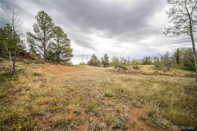 25 Huron Road Red Feather Lakes, CO 80545