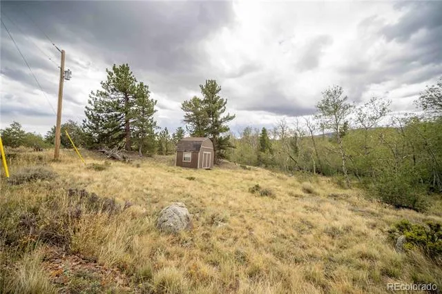 25 Huron Road Red Feather Lakes, CO 80545