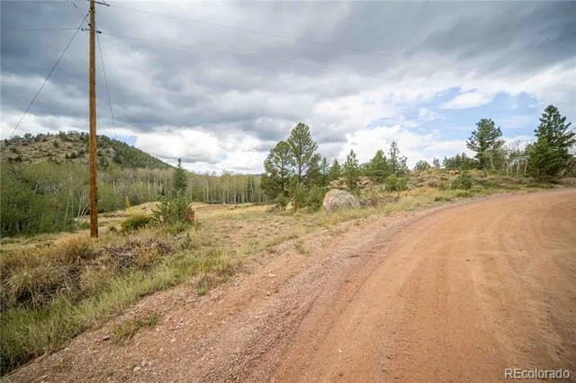 25 Huron Road Red Feather Lakes, CO 80545