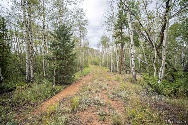 25 Huron Road Red Feather Lakes, CO 80545