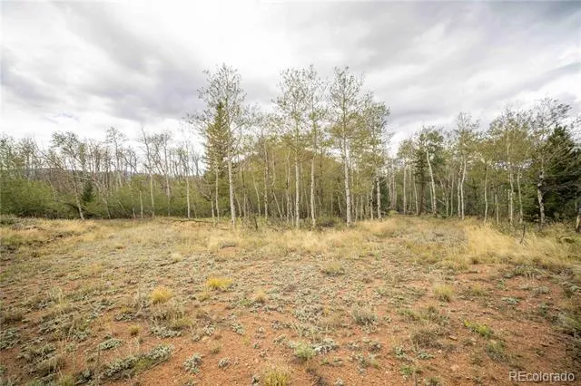 25 Huron Road Red Feather Lakes, CO 80545