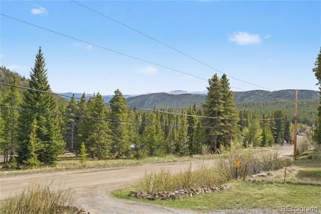 201 Silver Creek Road Idaho Springs, CO 80452