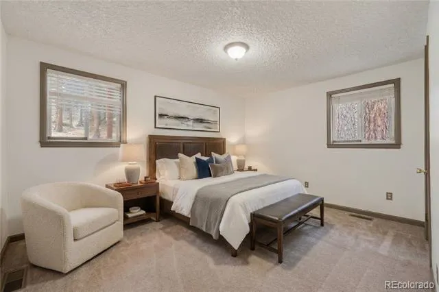201 Silver Creek Road Idaho Springs, CO 80452