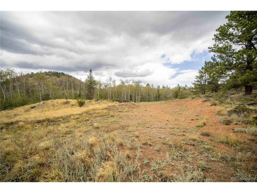 25 Huron Road Red Feather Lakes, CO 80545