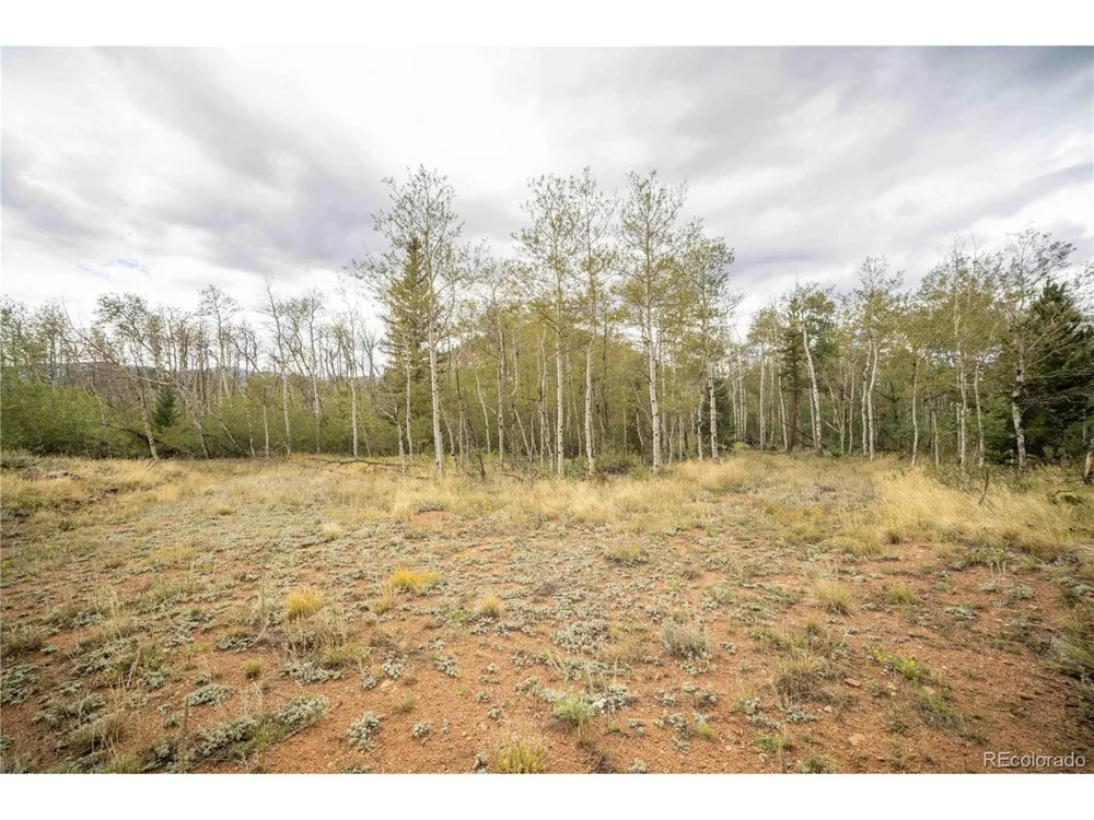 25 Huron Road Red Feather Lakes, CO 80545