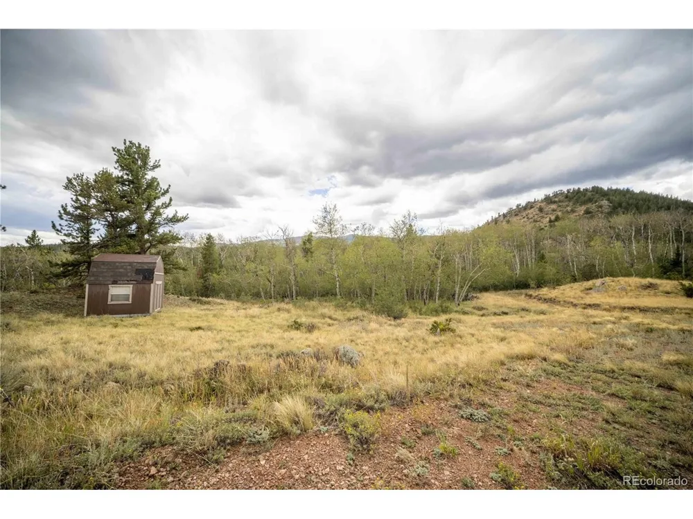 25 Huron Road Red Feather Lakes, CO 80545