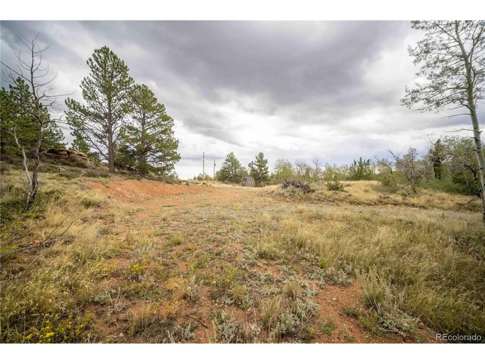 25 Huron Road Red Feather Lakes, CO 80545
