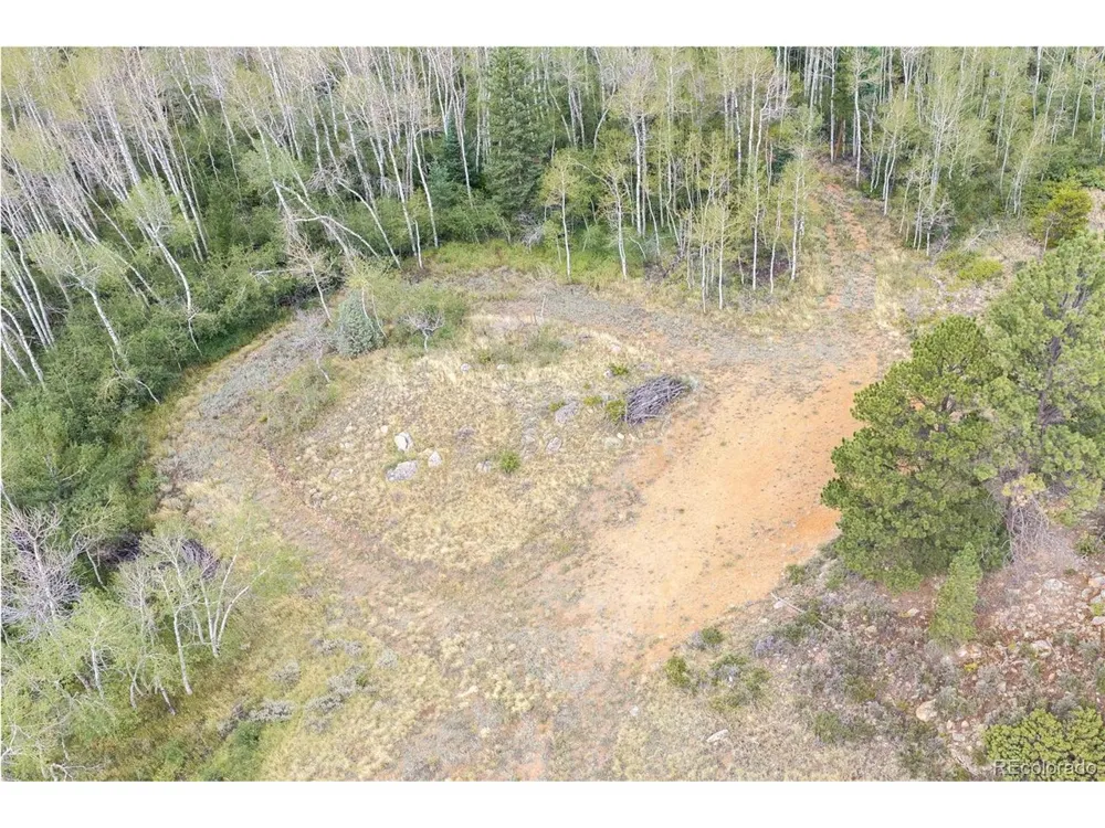 25 Huron Road Red Feather Lakes, CO 80545