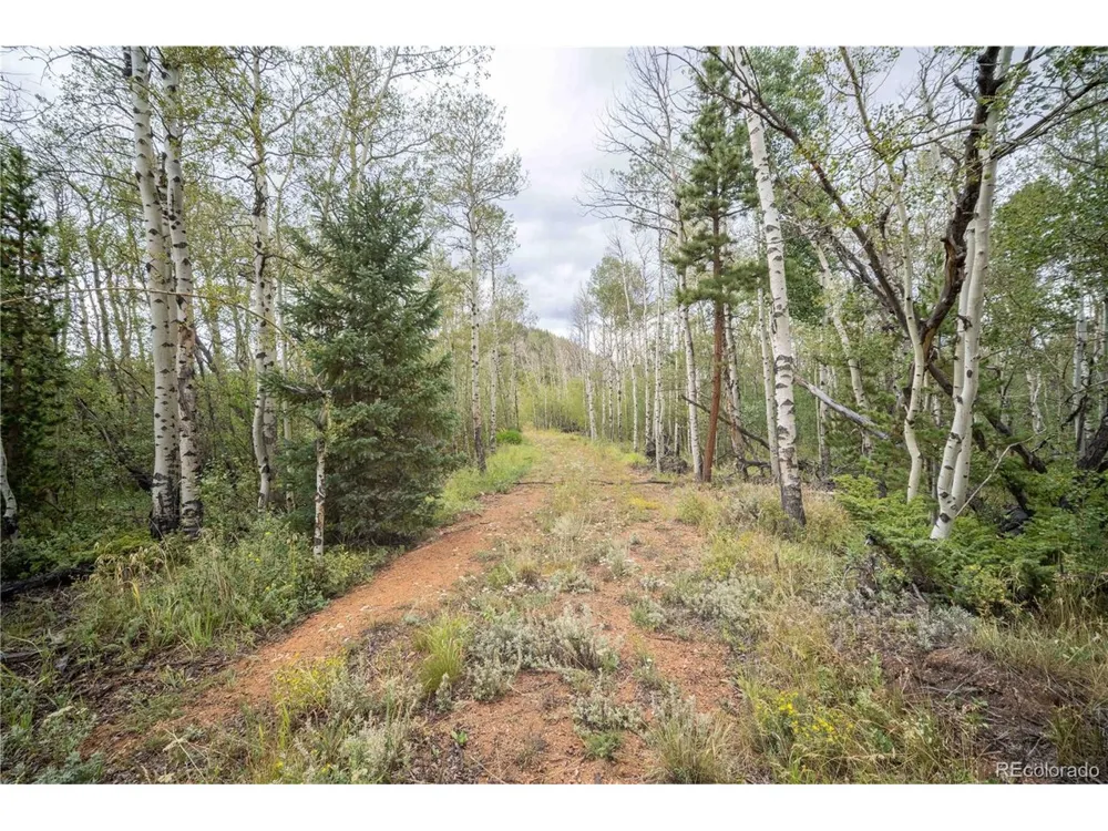 25 Huron Road Red Feather Lakes, CO 80545