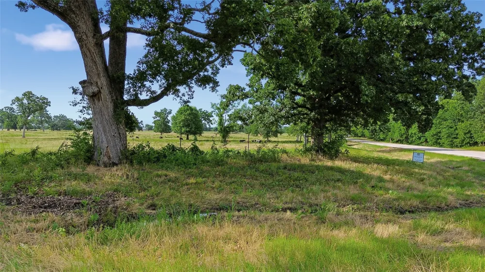 Fm 1531 Klondike, TX 75448