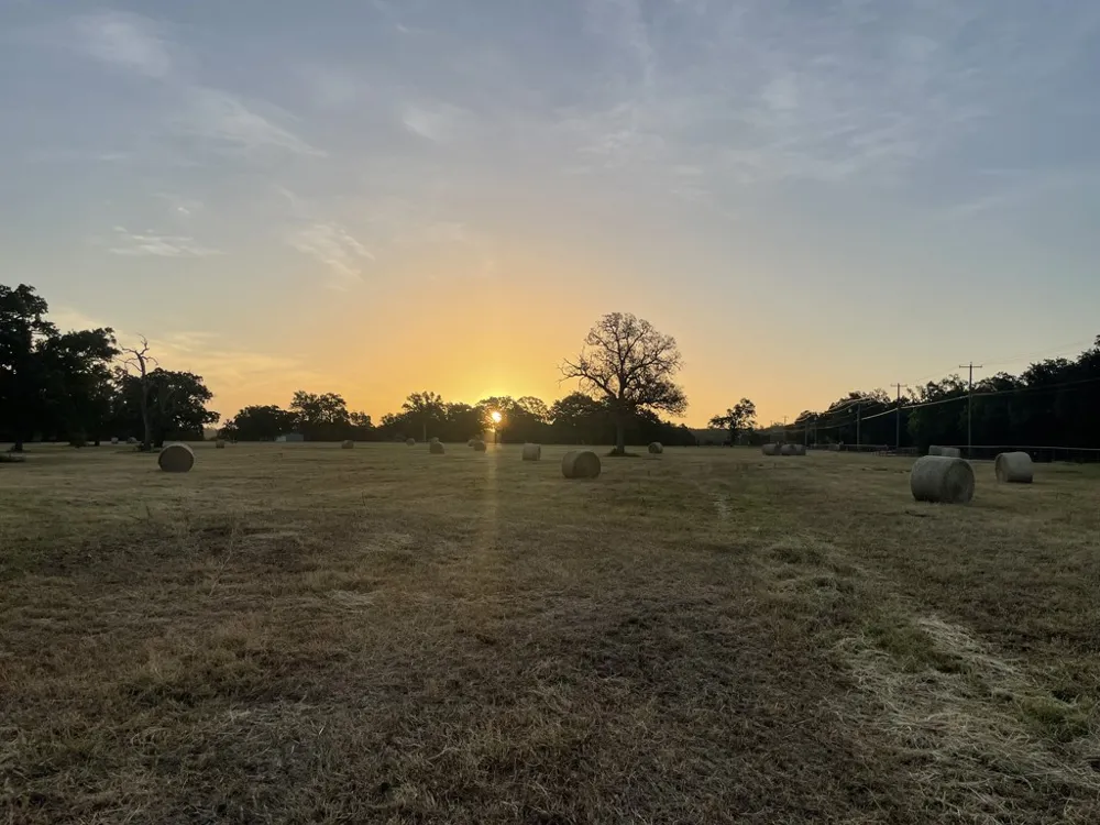 CR 1200 Athens, TX 75751