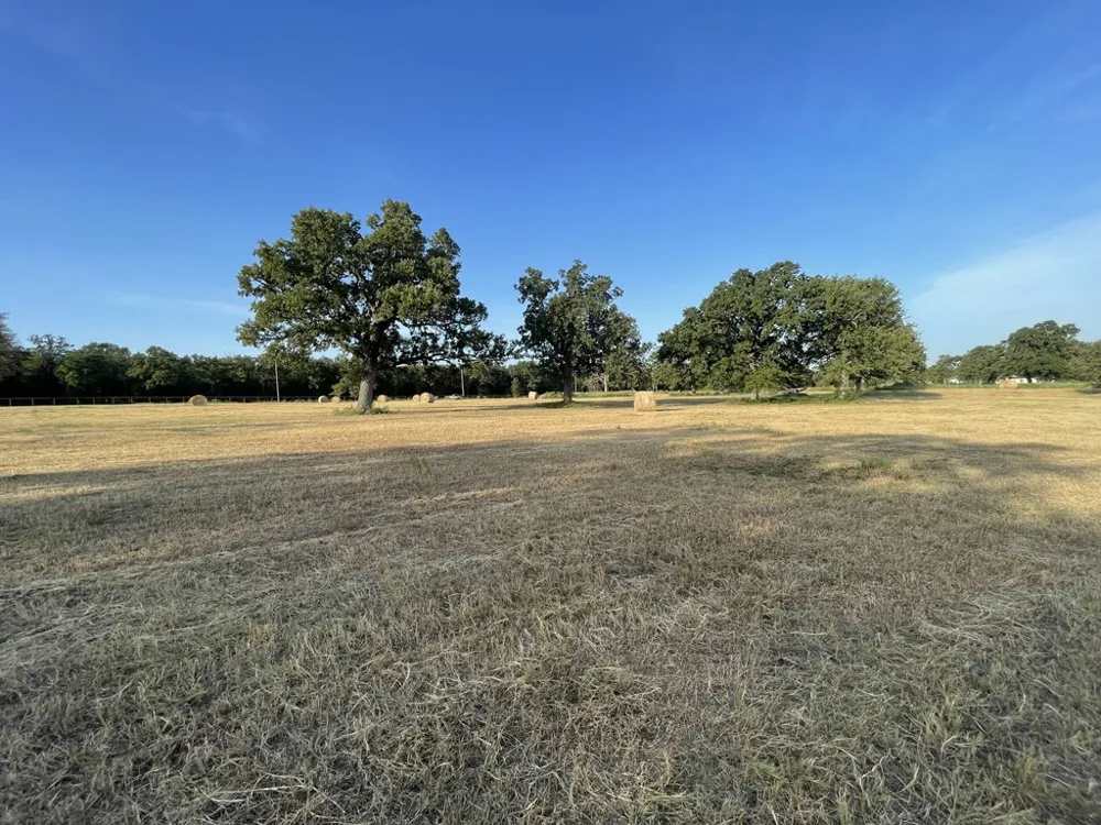 CR 1200 Athens, TX 75751