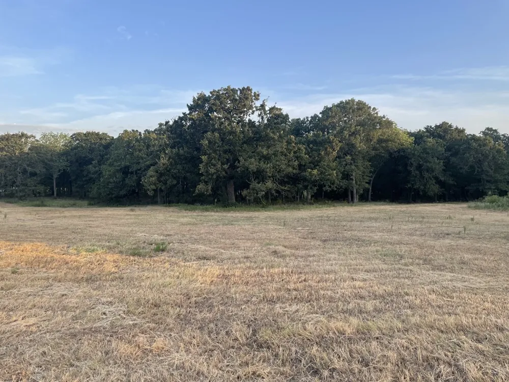 CR 1200 Athens, TX 75751
