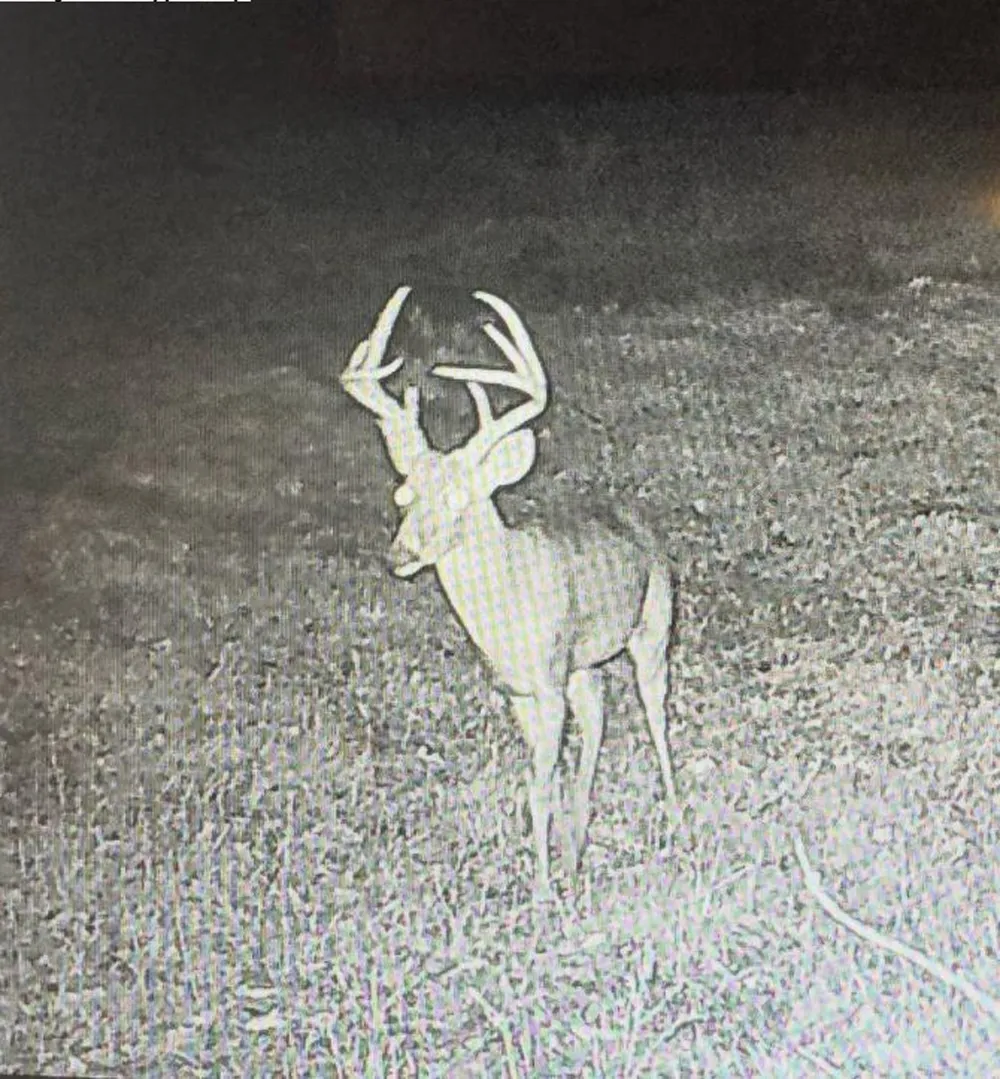 CR 1200 Athens, TX 75751