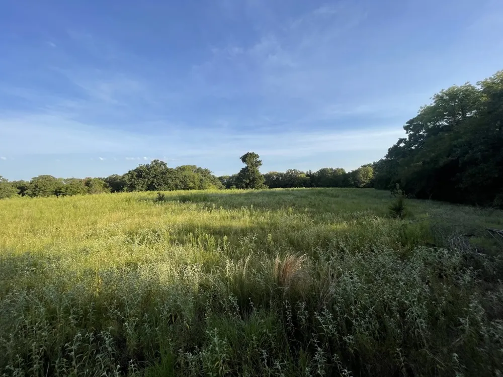CR 1200 Athens, TX 75751