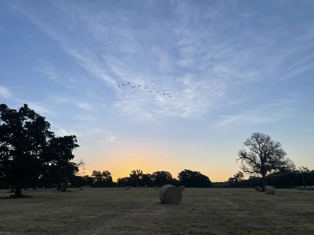 CR 1200 Athens, TX 75751