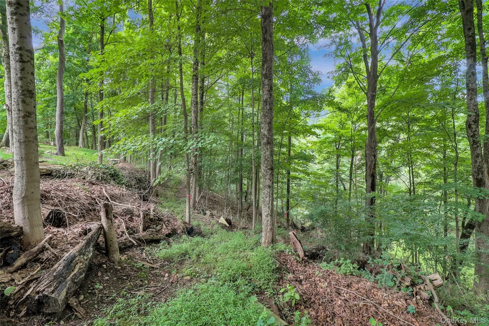 457 Saw Mill River Road Millwood, NY 10546
