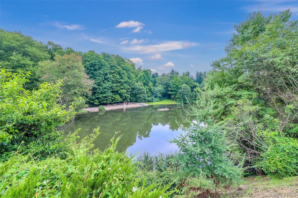 457 Saw Mill River Road Millwood, NY 10546