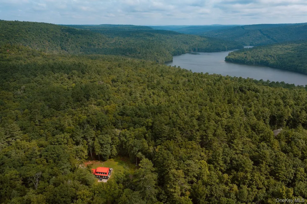 46 Peach Basket Road Glen Spey, NY 12737