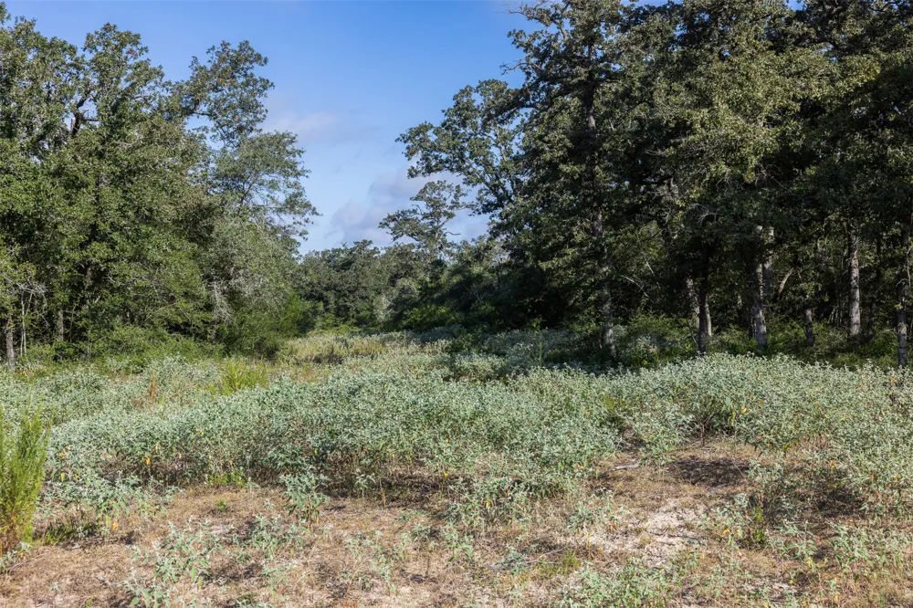 180 Autumn Oak Court Caldwell, TX 77836