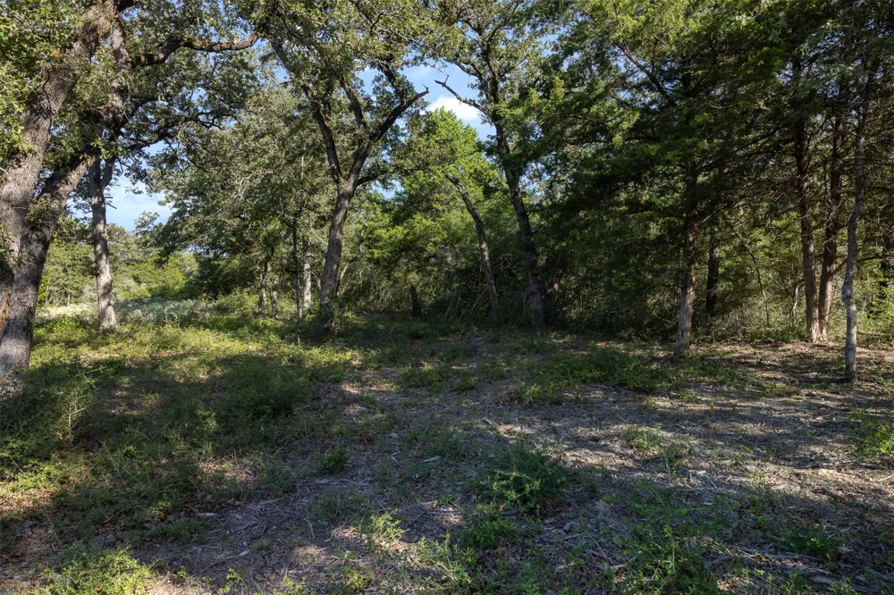 180 Autumn Oak Court Caldwell, TX 77836
