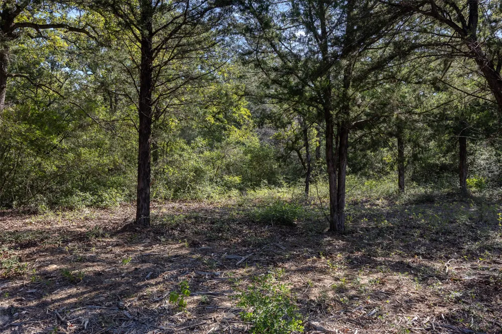 180 Autumn Oak Court Caldwell, TX 77836