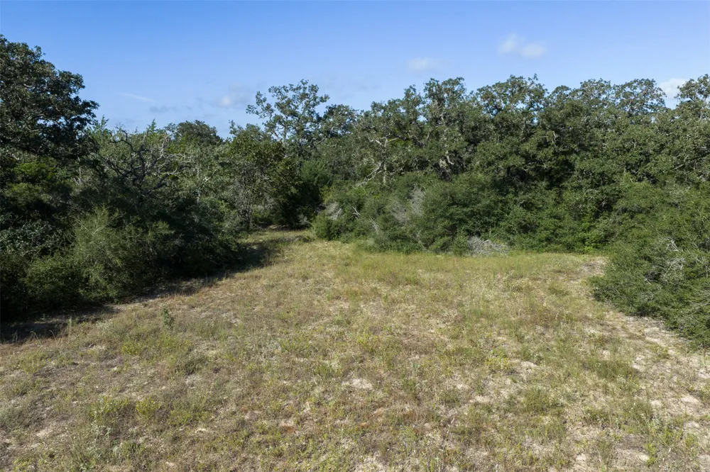 180 Autumn Oak Court Caldwell, TX 77836