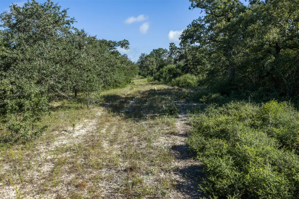 180 Autumn Oak Court Caldwell, TX 77836