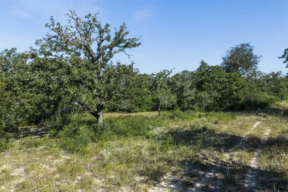 180 Autumn Oak Court Caldwell, TX 77836