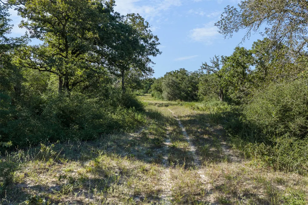 180 Autumn Oak Court Caldwell, TX 77836